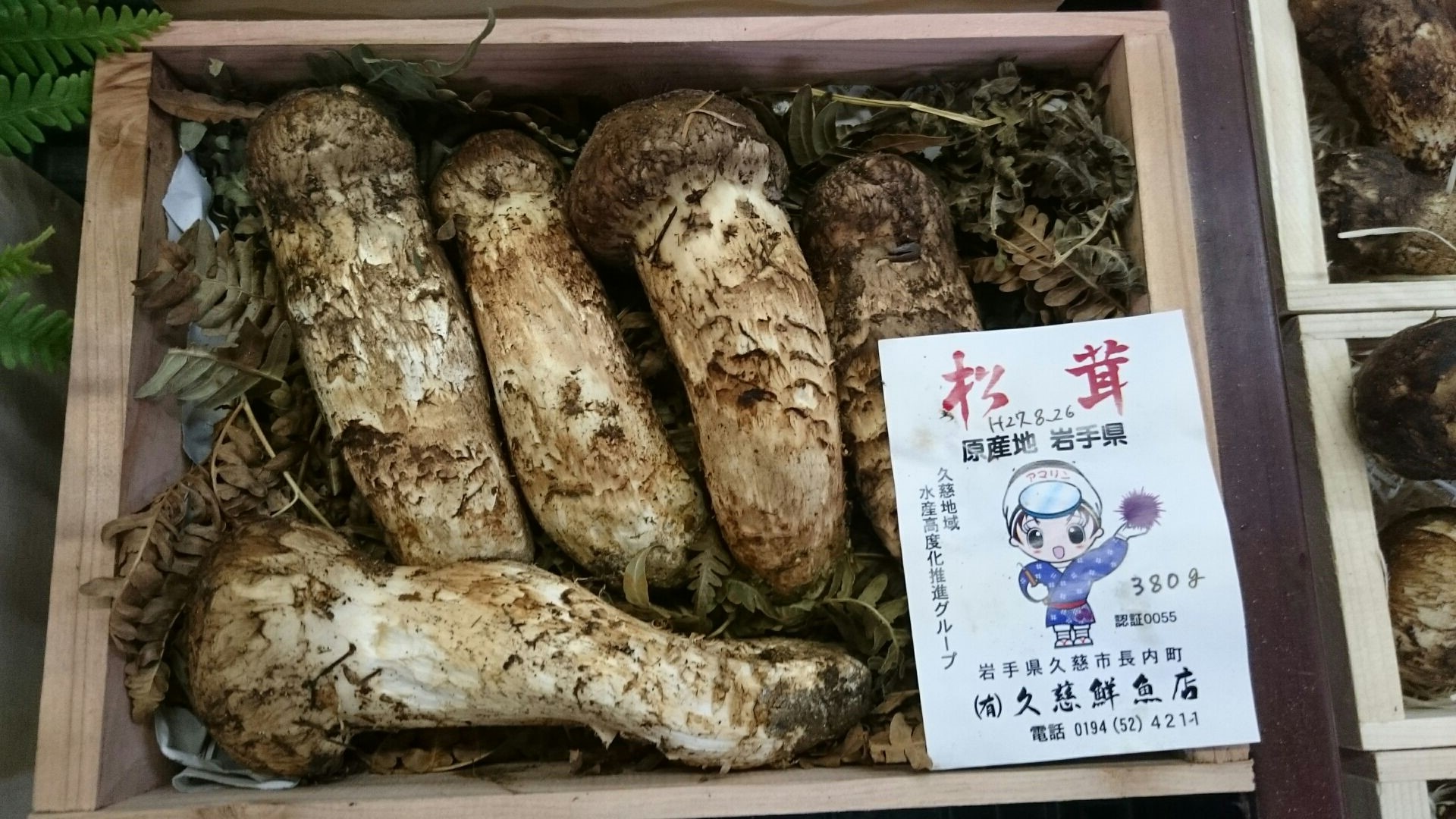 翌日配送可能 岩手県産 松茸 国産 【代理】 - 食品